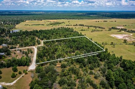Undeveloped Land in Walker County, Texas
