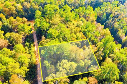 Farm and Ranch for sale in Polk County, Texas