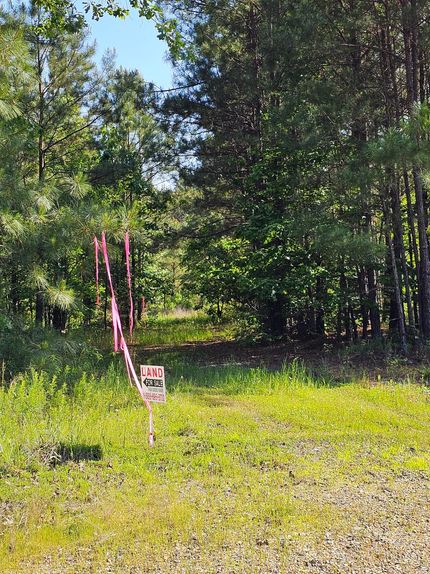 Farm and Ranch in Lafayette County, Arkansas