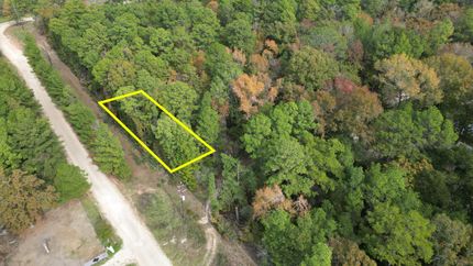 Timberland Property for sale in Trinity County, Texas