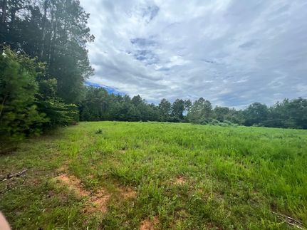 Undeveloped Land in Elbert County, Georgia