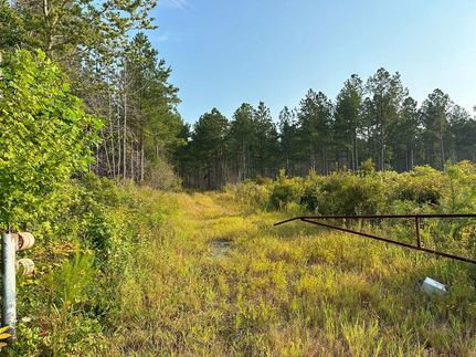 Timberland Property in Isle of Wight County, Virginia