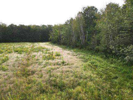 Commercial Property in Mille Lacs County, Minnesota