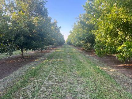 Recreational Property for sale in Butte County, California