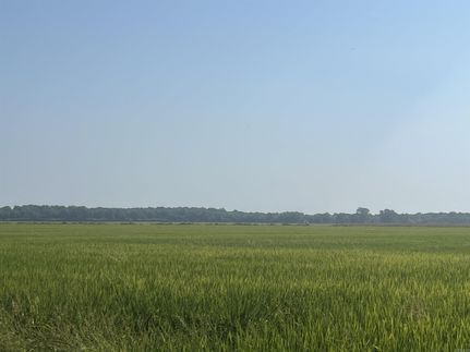 Land for sale in Monroe County, Arkansas