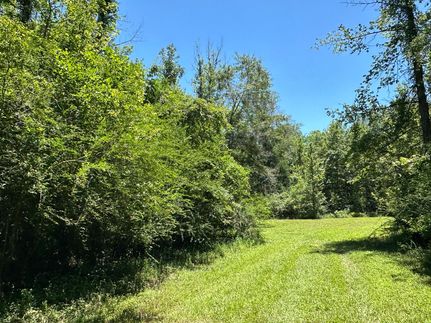 Undeveloped Land in Geneva County, Alabama