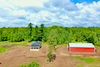 Undeveloped Land in Pine County, Minnesota