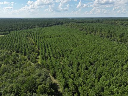 Farm and Ranch in Craven County, North Carolina
