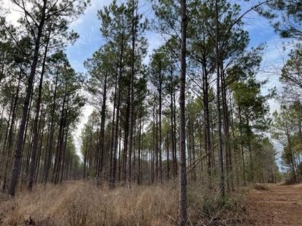 Land for sale in Harrison County, Texas
