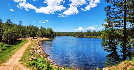 Undeveloped Land in Navajo County, Arizona