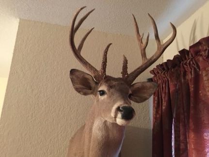 Farm and Ranch for sale in Edwards County, Texas