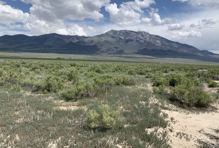 Undeveloped Land in Elko County, Nevada