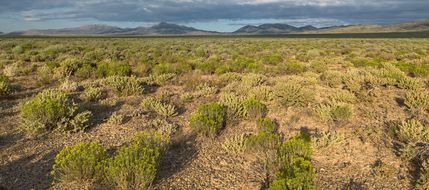 Undeveloped Land in Elko County, Nevada