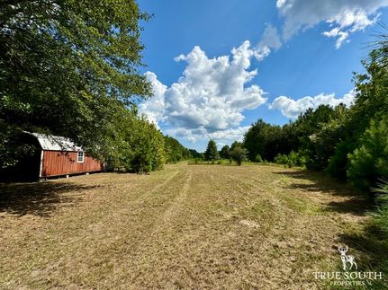 Land in Jasper County, South Carolina
