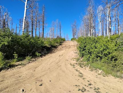 Undeveloped Land in Costilla County, Colorado