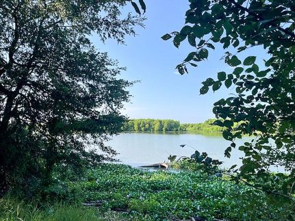 Undeveloped Land in Trinity County, Texas