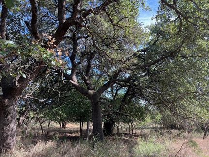 Commercial Property in McCulloch County, Texas