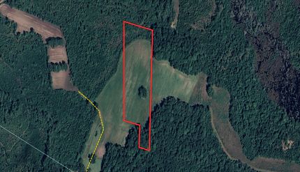 Undeveloped Land in Bladen County, North Carolina