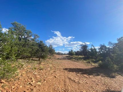 Land in Cibola County, New Mexico