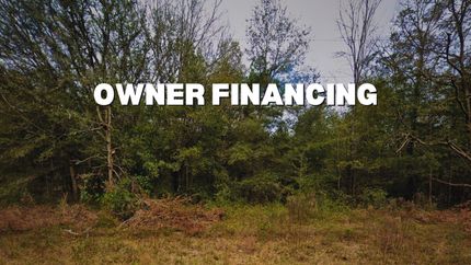 Undeveloped Land in Putnam County, Florida