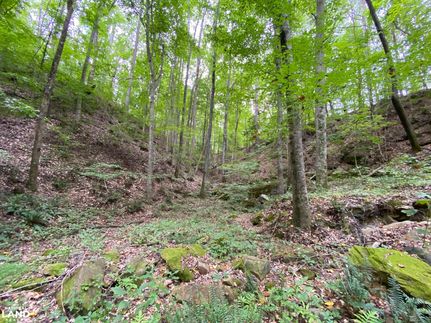 Recreational Property in Walker County, Alabama