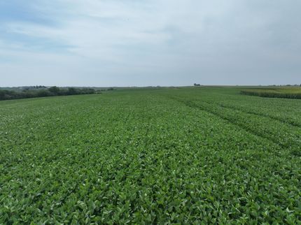 Farm and Ranch in Page County, Iowa