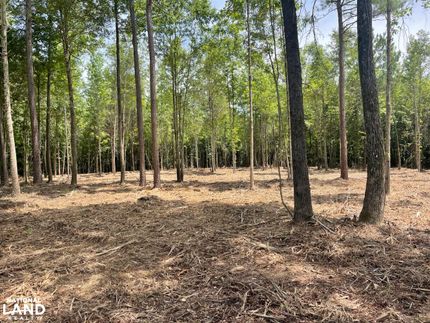 Recreational Property in Fayette County, Alabama