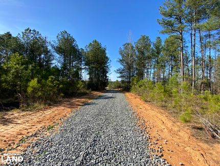 Timberland Property in Fayette County, Alabama