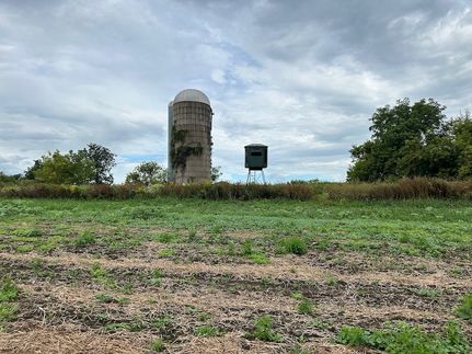 Recreational Property in Pepin County, Wisconsin