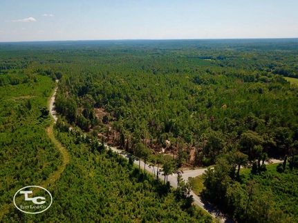 Timberland Property in Wilcox County, Alabama