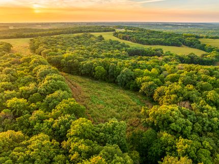 Timberland Property in Cooper County, Missouri