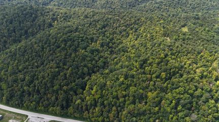 Timberland Property in Adams County, Ohio