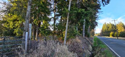 Undeveloped Land in Snohomish County, Washington