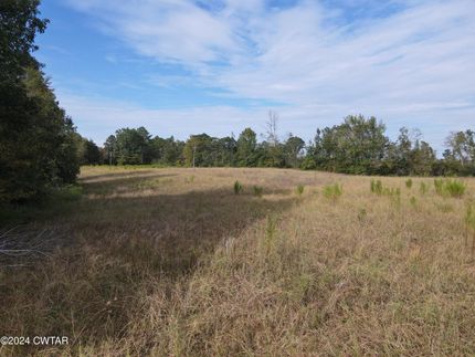 Land in Decatur County, Tennessee
