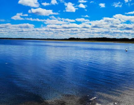 Farm and Ranch in Clay County, Florida