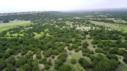 Undeveloped Land for sale in Coryell County, Texas