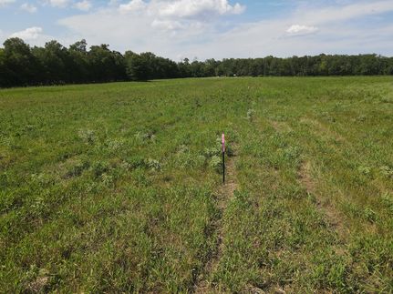 Undeveloped Land in Caldwell Parish, Louisiana