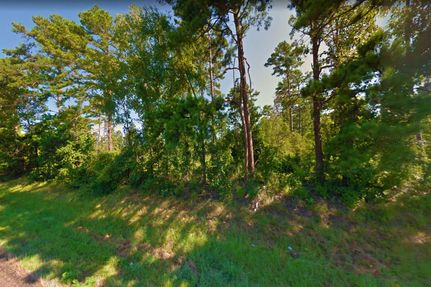 Land in Marion County, Texas
