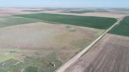 Farm and Ranch in Carson County, Texas