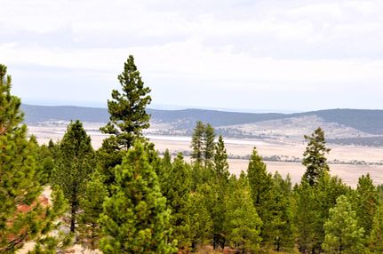 Undeveloped Land in Modoc County, California