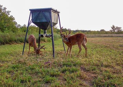 Farm and Ranch in Crawford County, Kansas