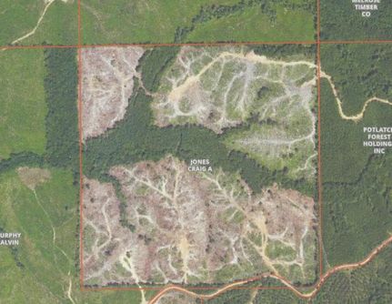 Farm and Ranch in Montgomery County, Mississippi