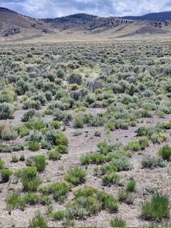 Land in White Pine County, Nevada