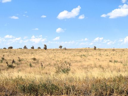 Timberland Property in Hockley County, Texas