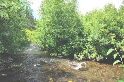 Timberland Property in Fremont County, Idaho