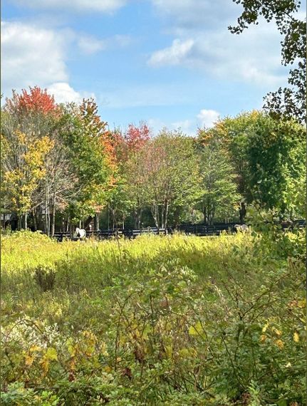 Land in Oakland County, Michigan