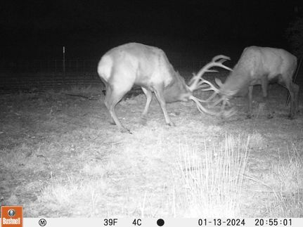 Recreational Property in Real County, Texas