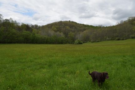 Recreational Property for sale in Gilmer County, West Virginia