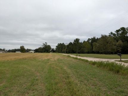 Timberland Property in Hamilton County, Florida