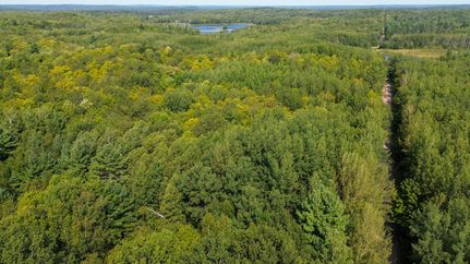 Timberland Property in Washburn County, Wisconsin